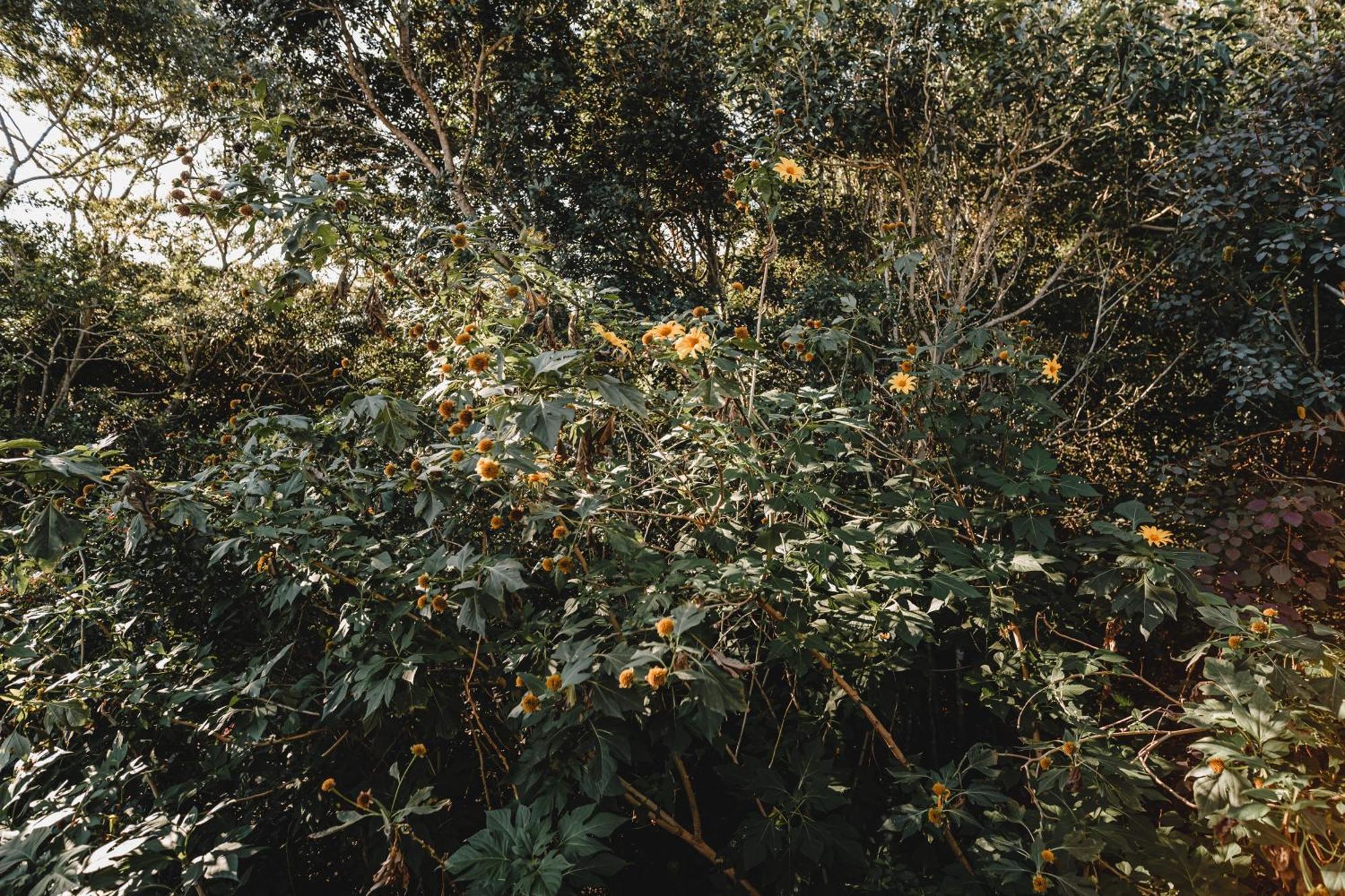 Pousada Colina Verde ガロパバ エクステリア 写真